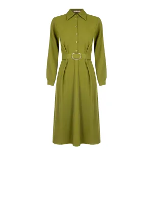 Belted Flared Dress