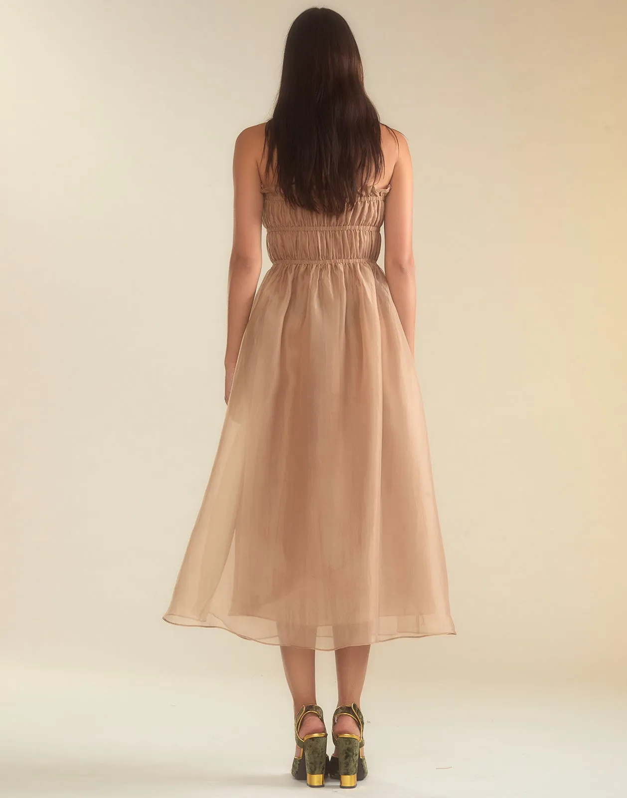 Buckle Up Silk Organza Dress