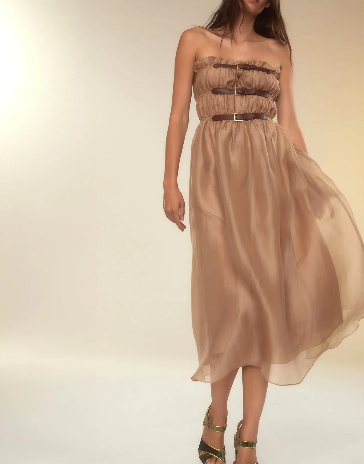 Buckle Up Silk Organza Dress