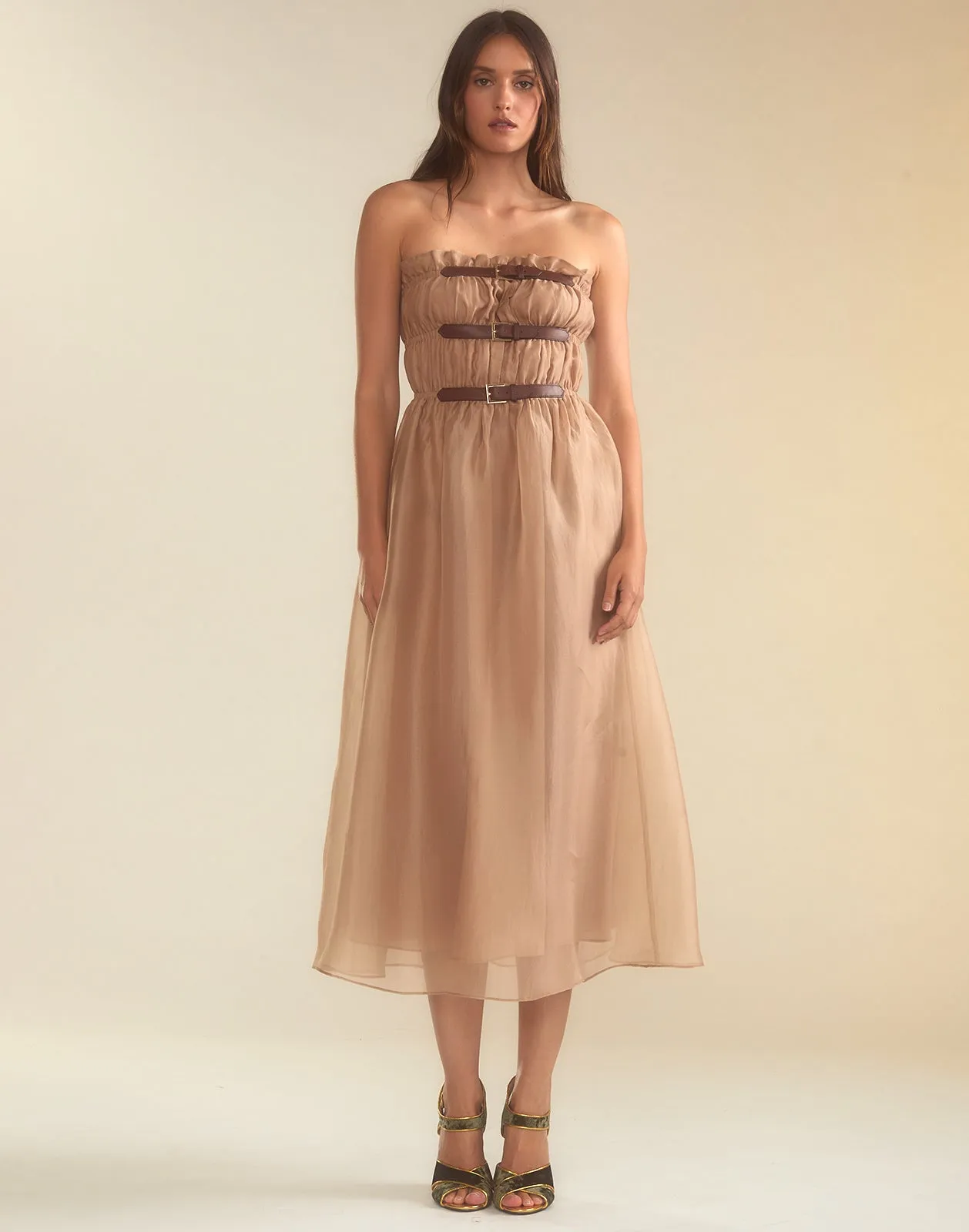 Buckle Up Silk Organza Dress