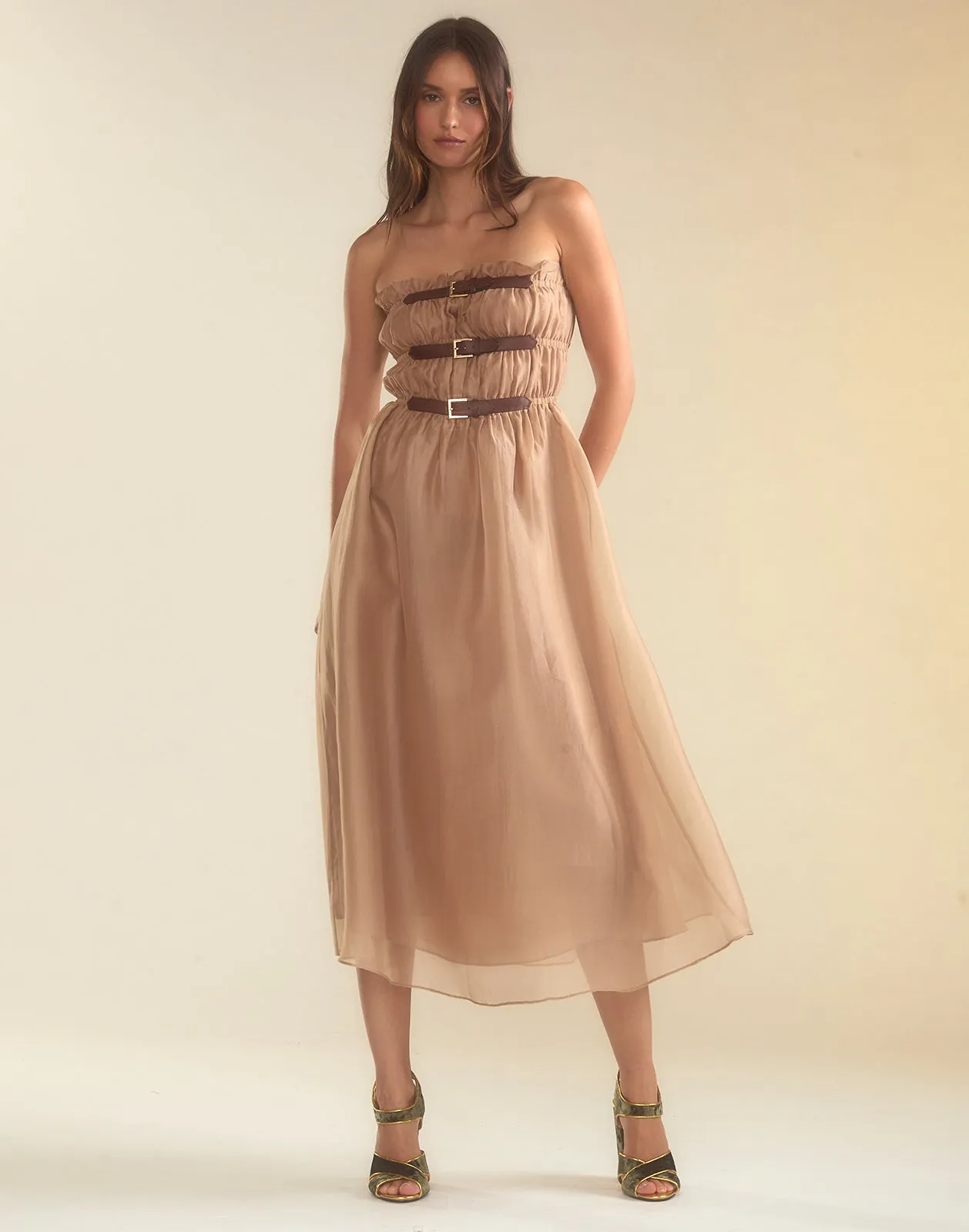 Buckle Up Silk Organza Dress