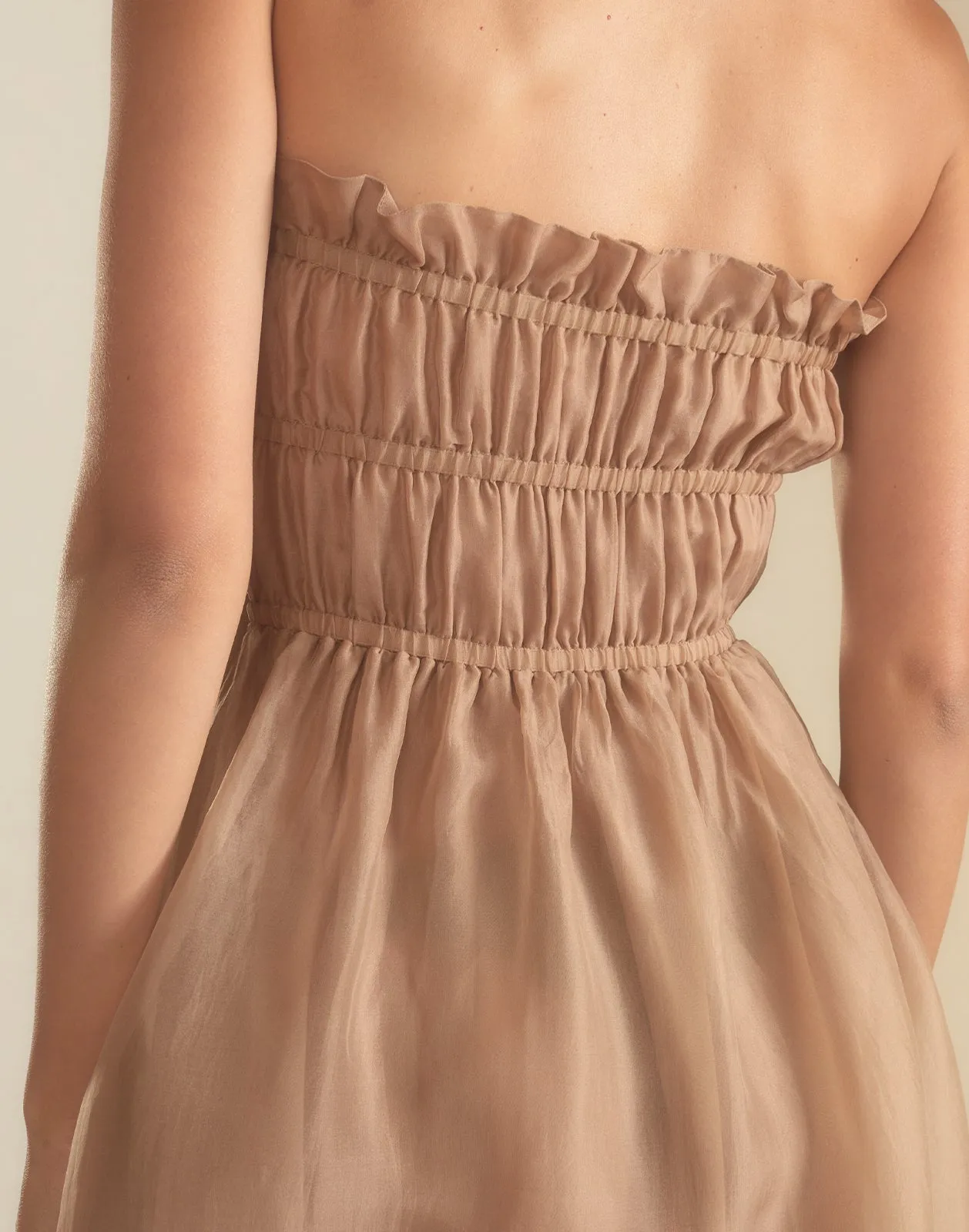 Buckle Up Silk Organza Dress