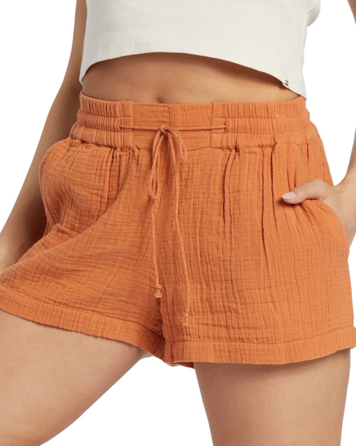 Day Tripper Walkshorts in Toffee